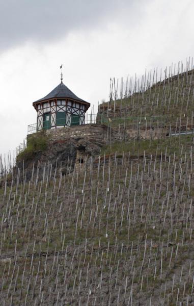 Weingut & Gaestehaus Schmitz-Bergweiler Бернкастел-Кюс Екстериор снимка